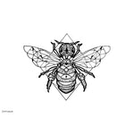 'Honey Bee' Art Print