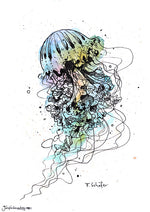 a jellyfish painted with watercolors