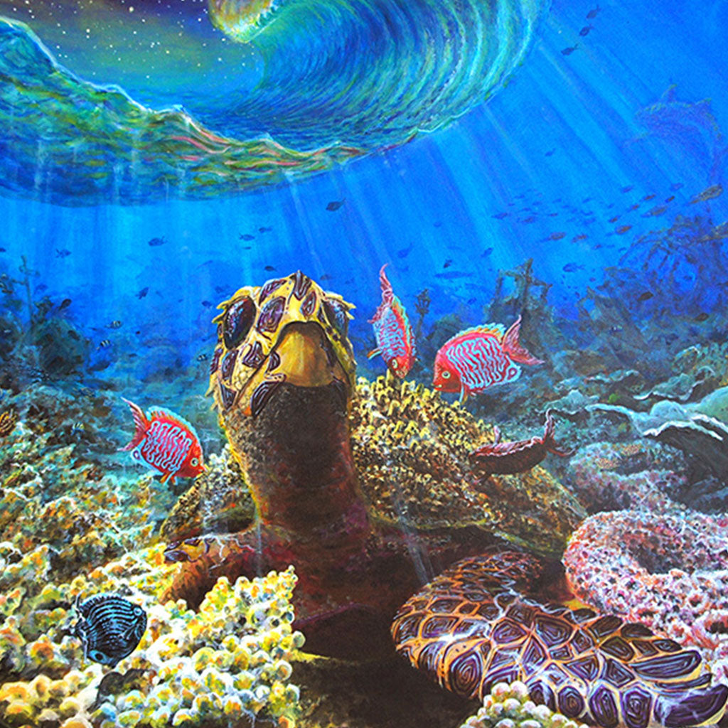 'Reef Turtle' Art Print