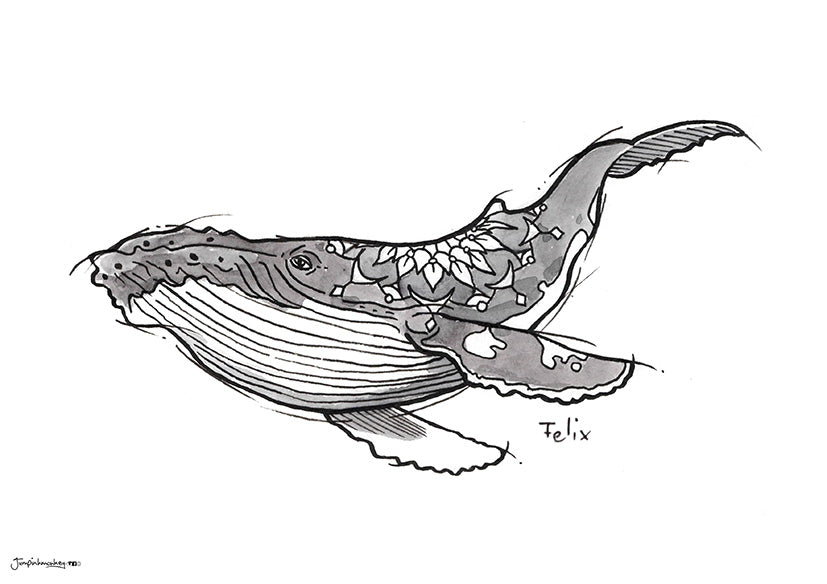 mandala sketch whale