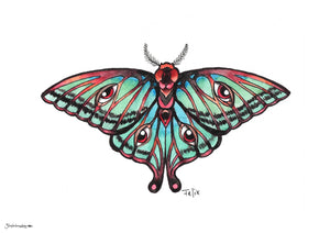Moth in full color