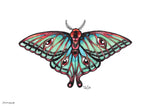 Moth in full color
