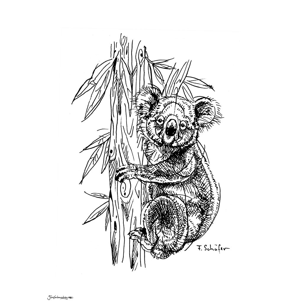 'Koala' Art Print