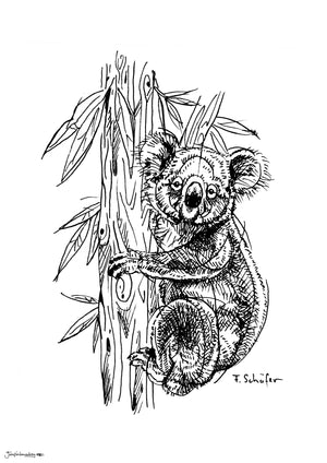 sketch of a koala hanging on a tree