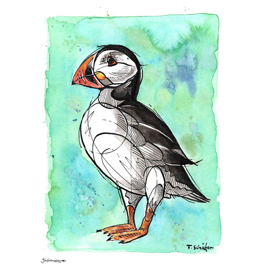 illustrated watercolor puffin 
