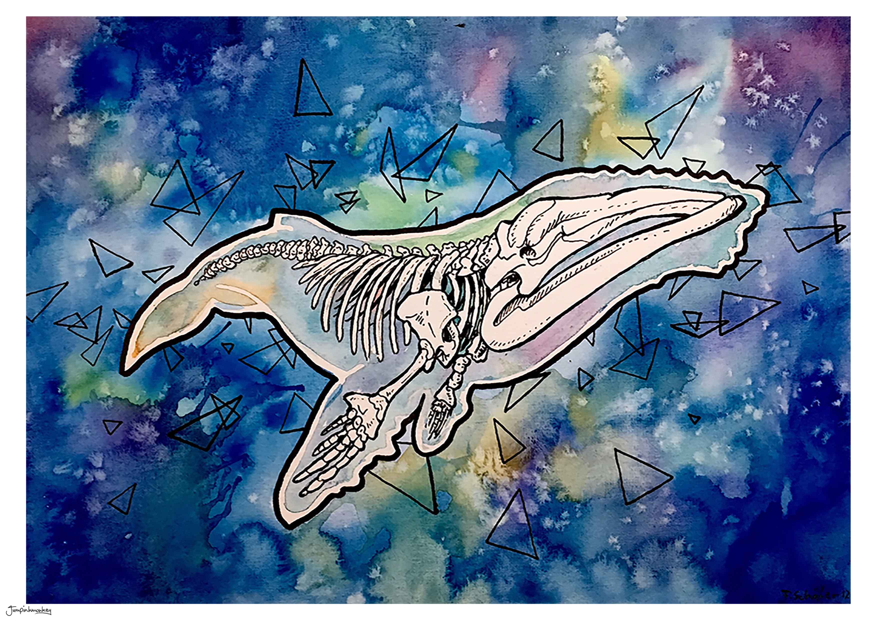 'X-Ray Whale' Art Print